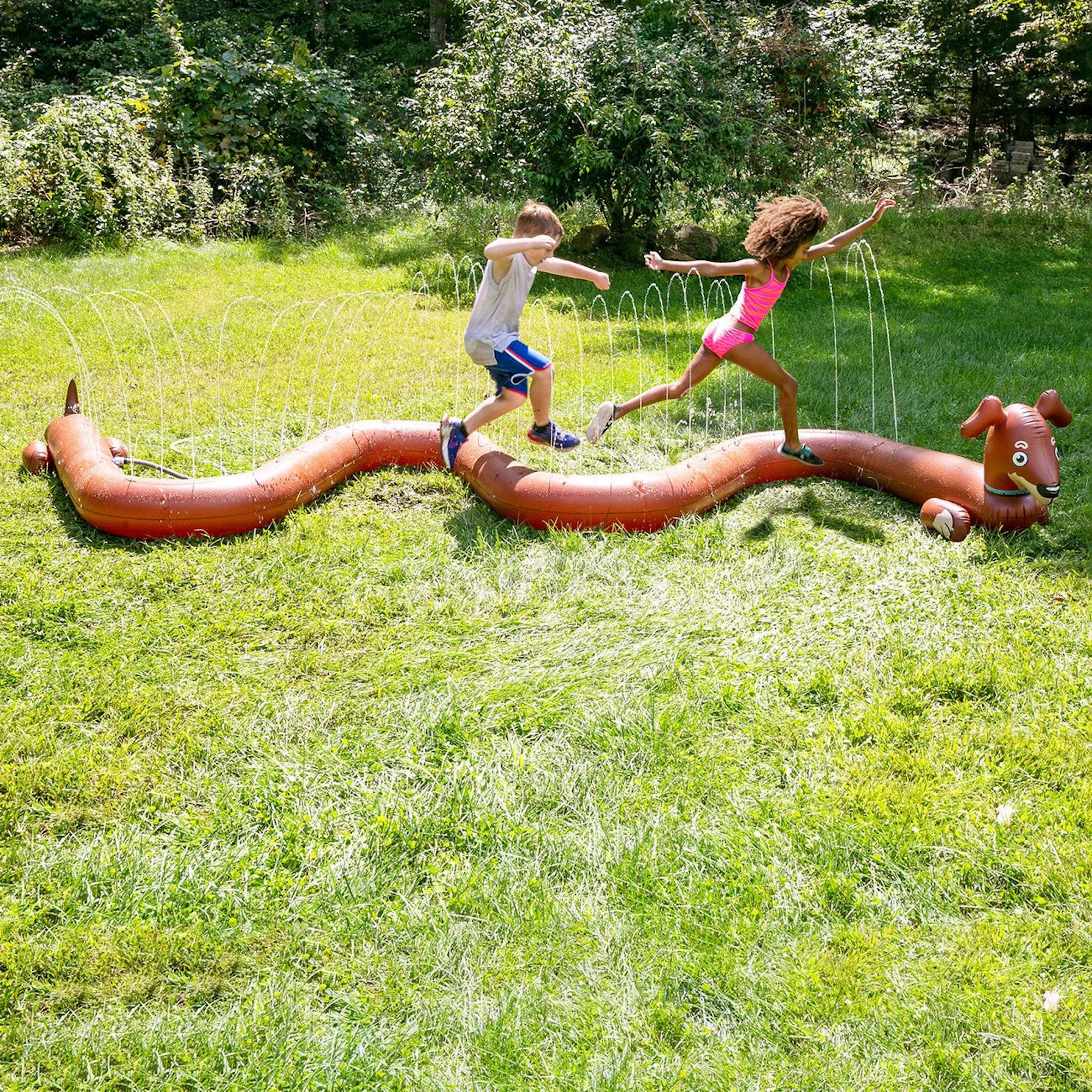 22-BYS-4143-Weiner-Dog-Long-Sprinkler-Life1-web-1600x1600_839af035-d05c-4edb-9dc0-1e0c87cf7de9.jpg