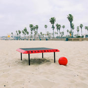 The Boardball Set - Outdoor Game