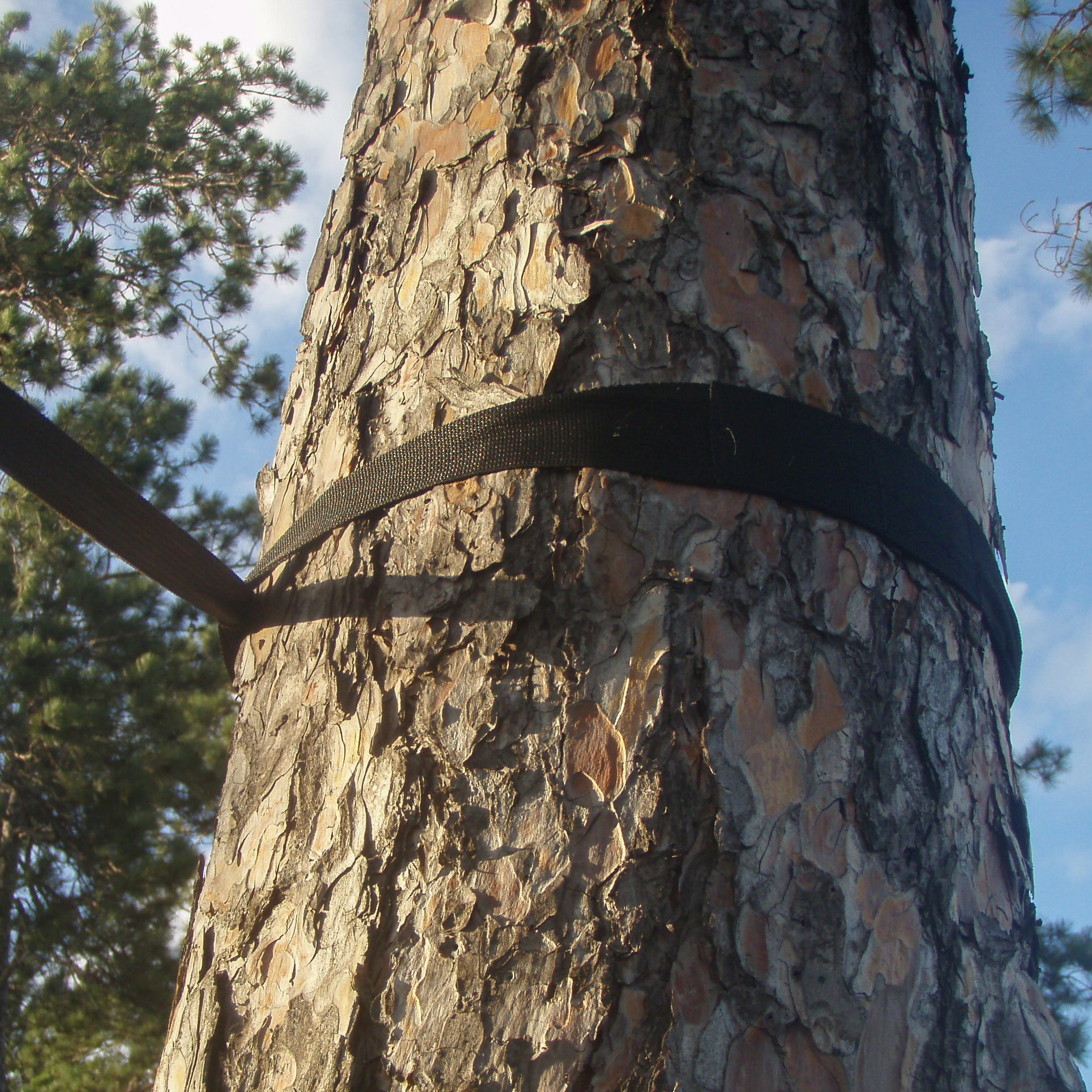 Eco-Friendly Tree Straps - 2 Pack